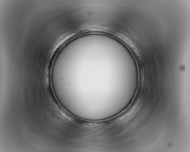 X0000099290782200805231320