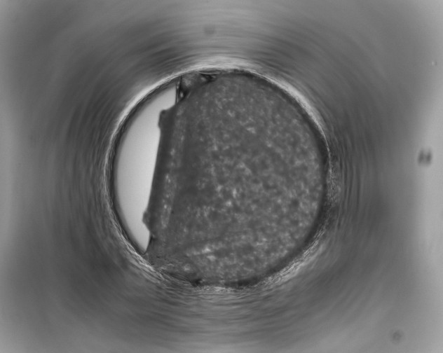 X0000099290783200805231320