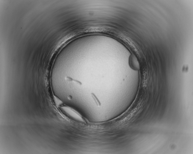 X0000099290786200805231320