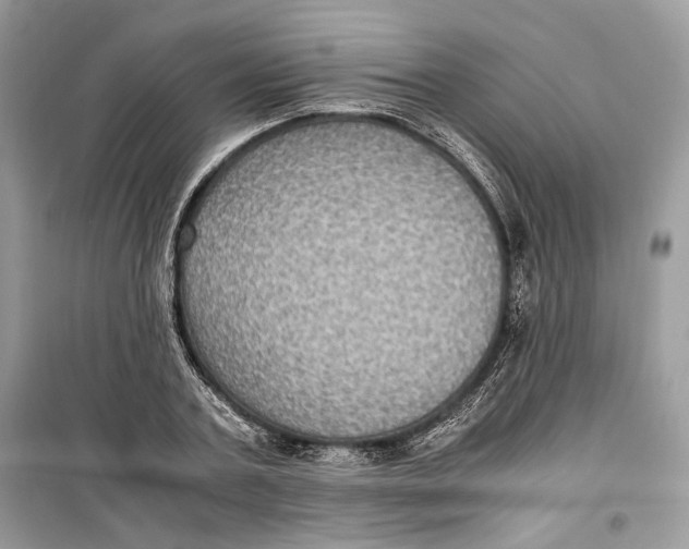 X0000099290787200805231320