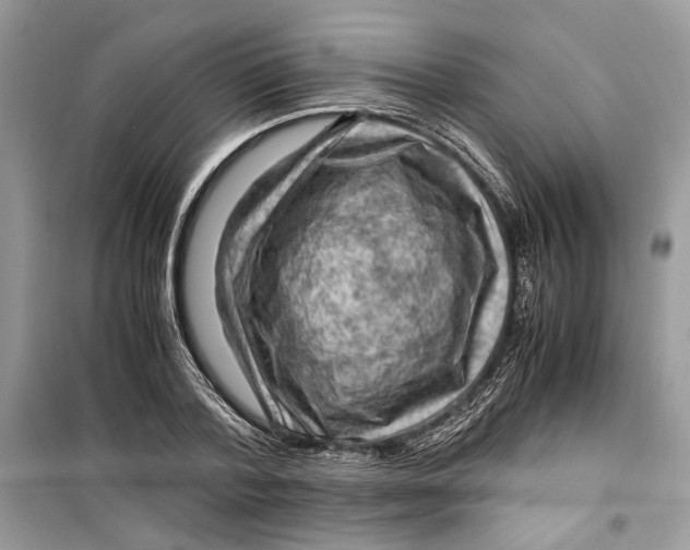 X0000099290788200805231320