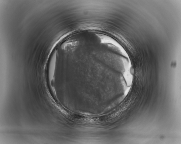 X0000099290790200805231320