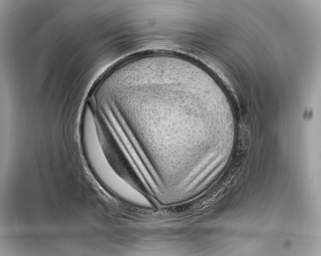 X0000099290791200805231320