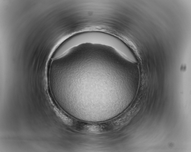 X0000099290792200805231320