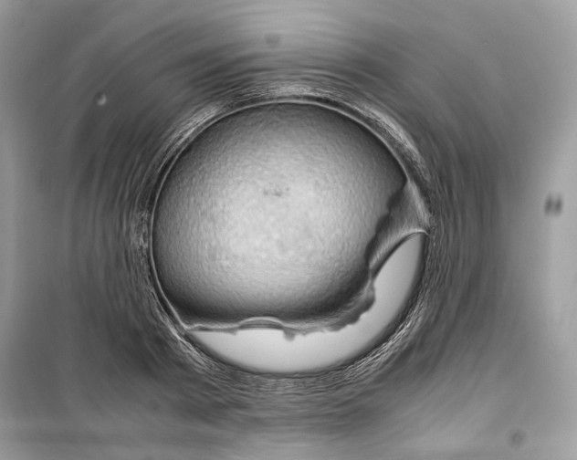 X0000099290793200805231320