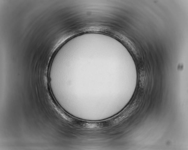 X0000099290794200805231320