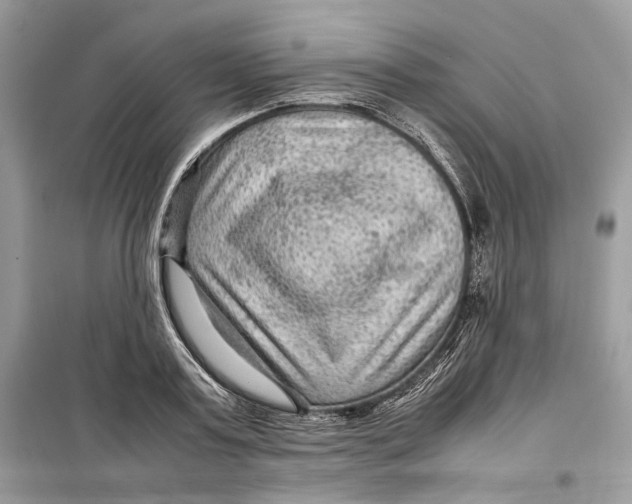 X0000099290795200805231320