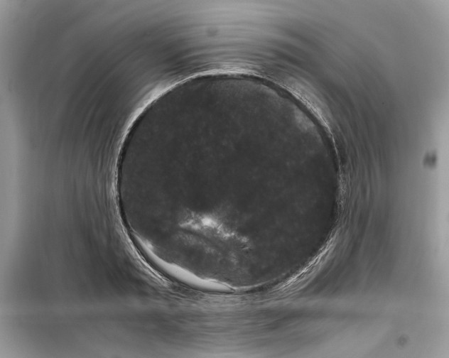 X0000099290797200805231320