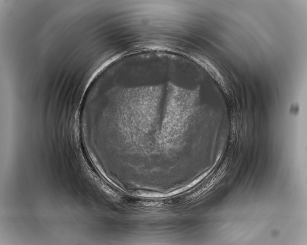 X0000099290798200805231320