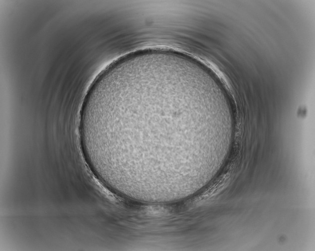 X0000099290799200805231320