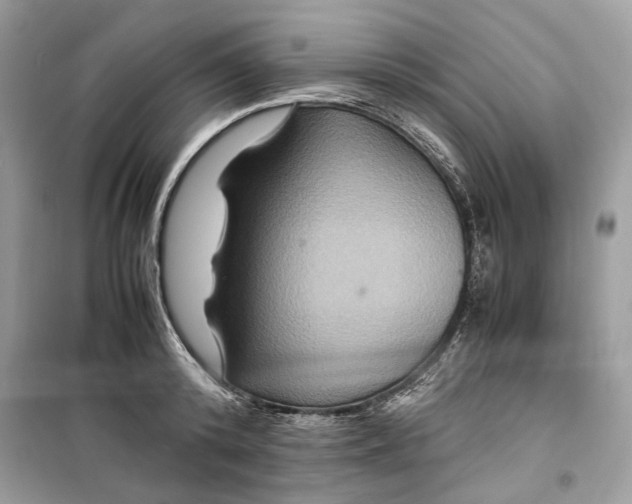 X0000099290800200805231320