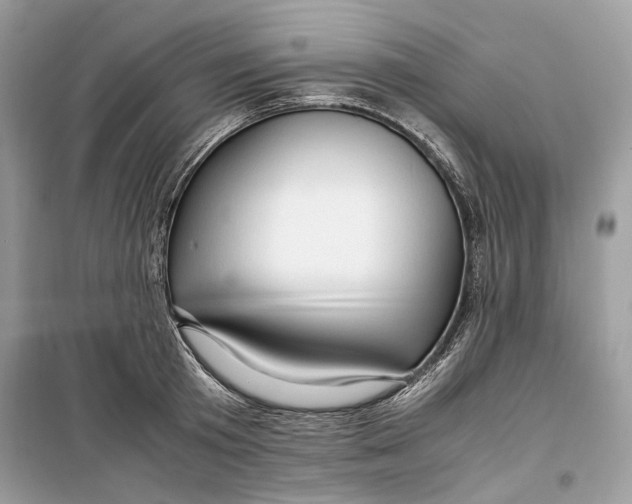 X0000099290801200805231320