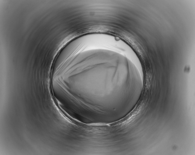 X0000099290802200805231319