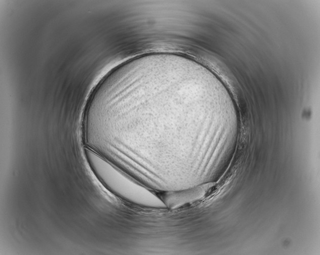 X0000099290803200805231319