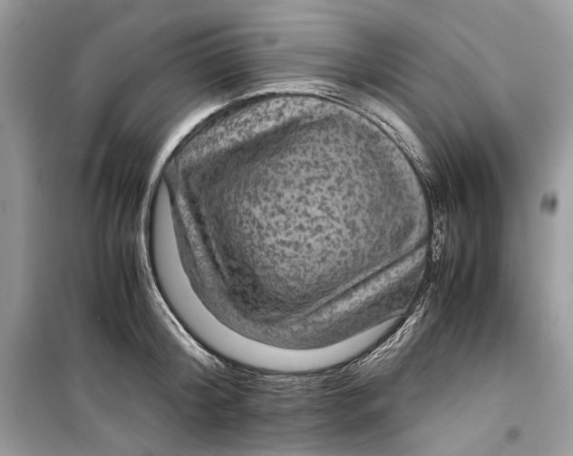 X0000099290804200805231319