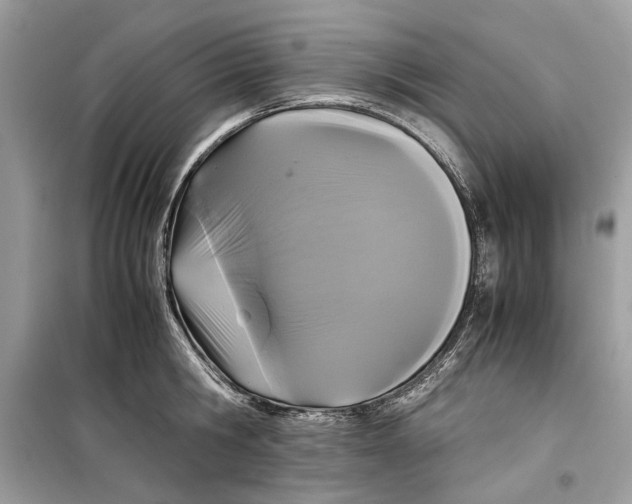 X0000099290806200805231319