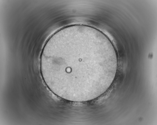 X0000099290807200805231319