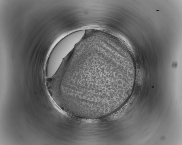 X0000099290808200805231319