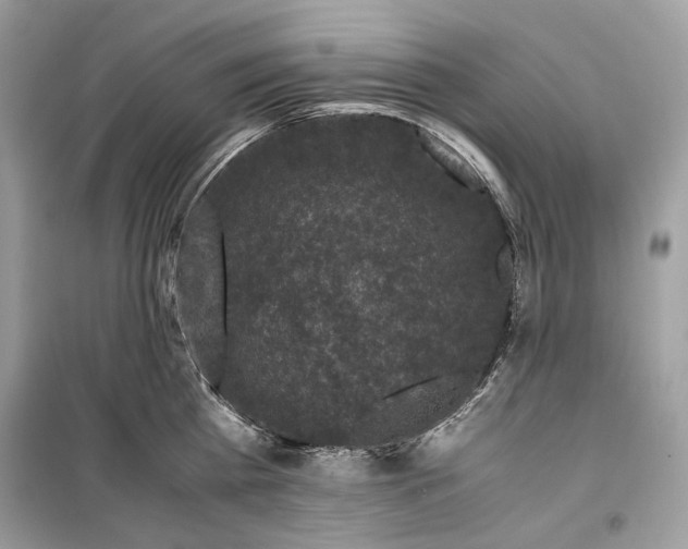 X0000099290809200805231319