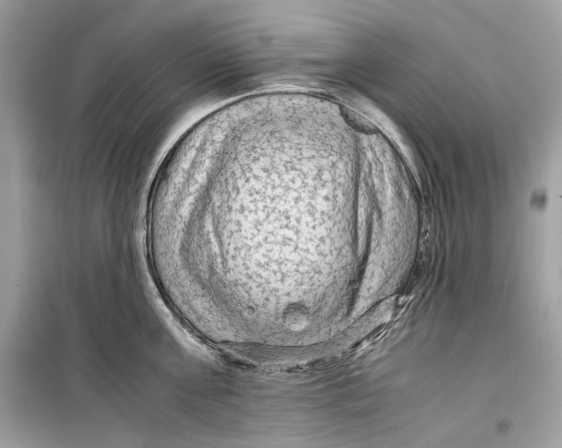 X0000099290811200805231319