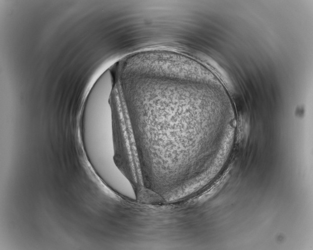 X0000099290812200805231319