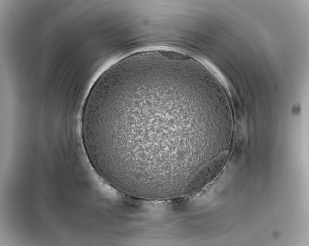 X0000099290813200805231319