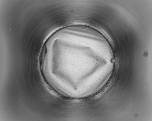 X0000099290814200805231319