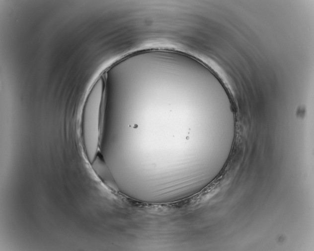 X0000099290815200805231319