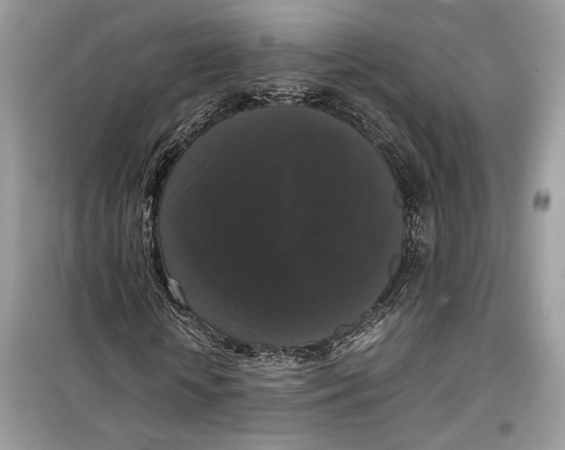 X0000099290818200805231319