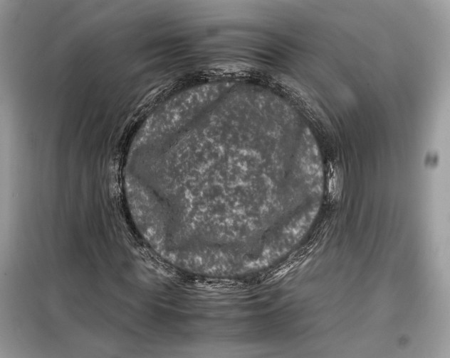 X0000099290819200805231319