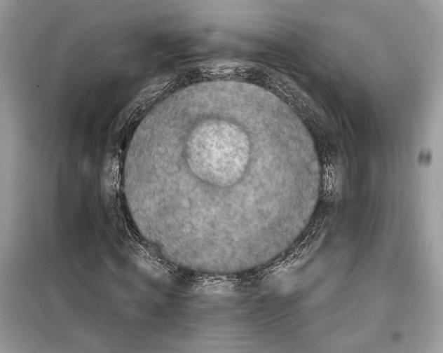 X0000099290820200805231319