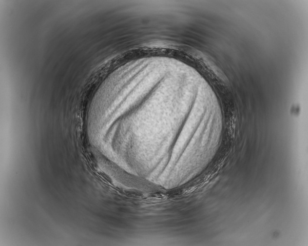 X0000099290821200805231319