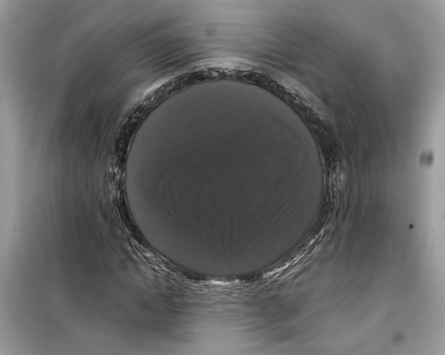 X0000099290822200805231319