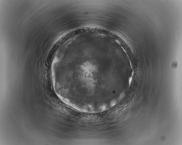 X0000099290823200805231319