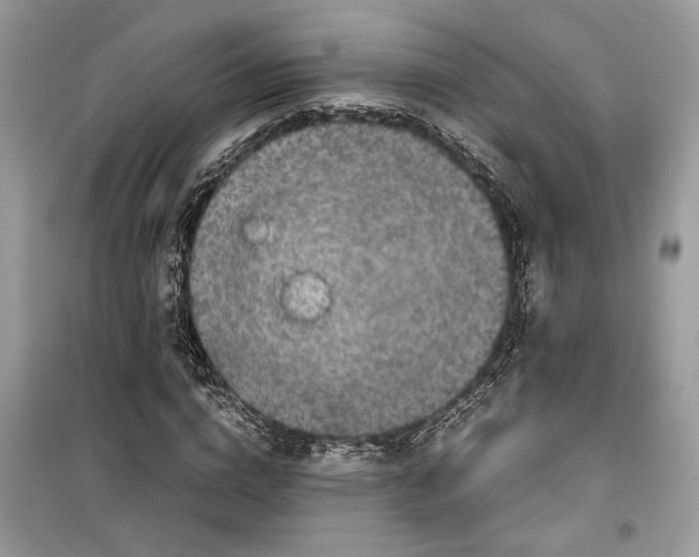 X0000099290824200805231319