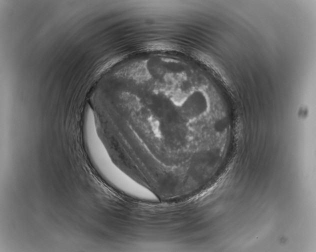 X0000099290825200805231319