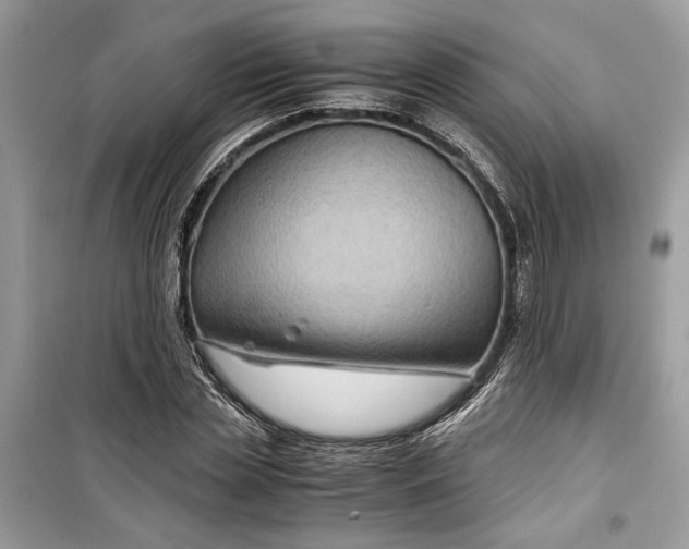 X0000099290829200805231319