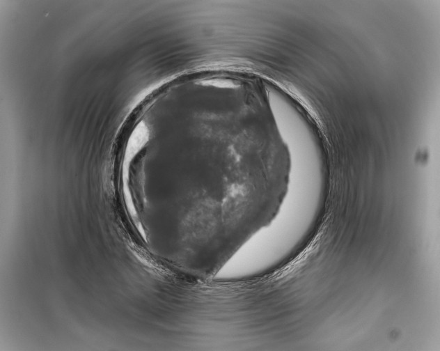 X0000099290830200805231319