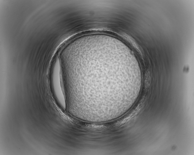 X0000099290831200805231319