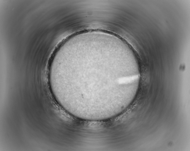 X0000099290832200805231319