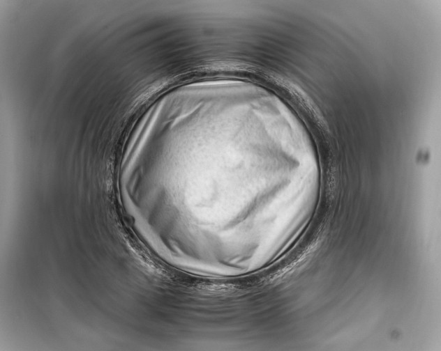 X0000099290833200805231319