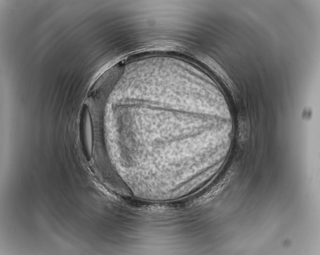 X0000099290834200805231319