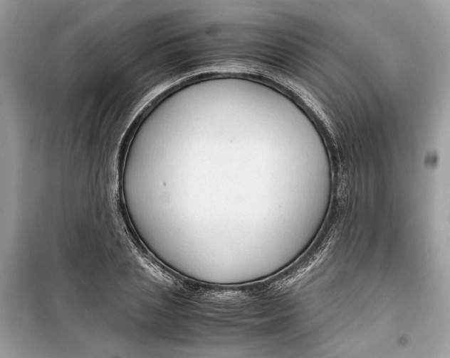 X0000099290837200805231319