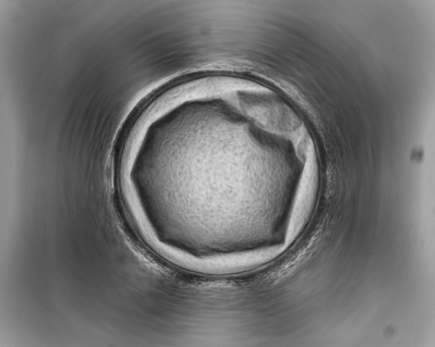 X0000099290838200805231319