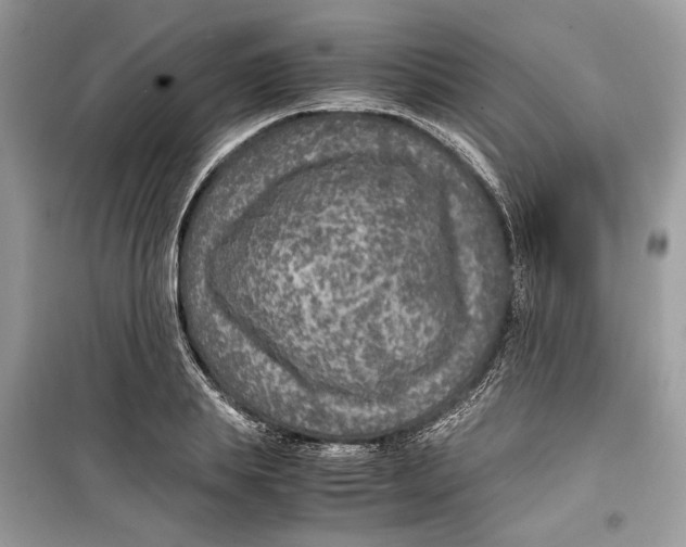 X0000099290839200805231319