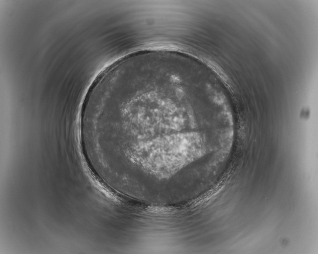 X0000099290840200805231319