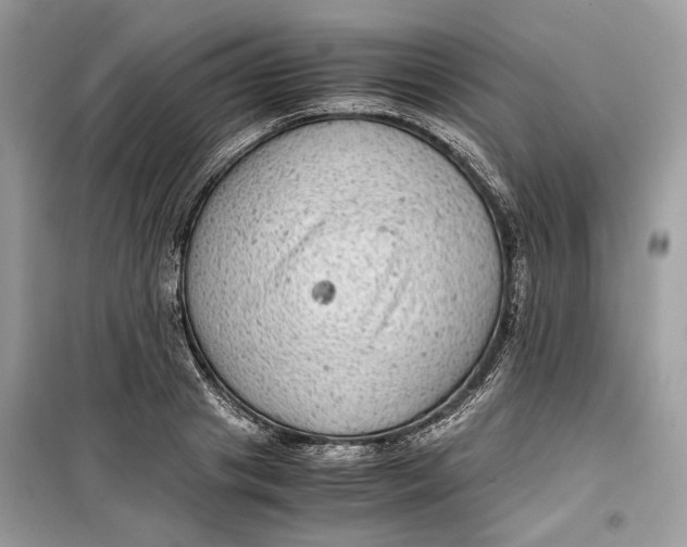 X0000099290841200805231319