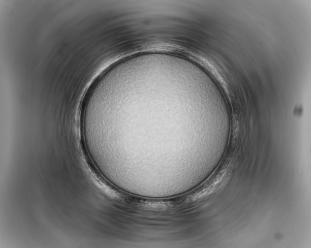 X0000099290843200805231319