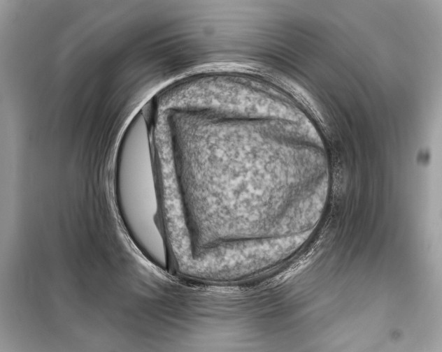 X0000099290844200805231319