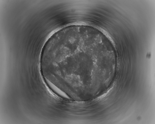 X0000099290845200805231319